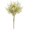 Buchsbaum Zweig "Evergreen" Crème