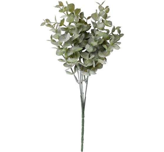 Buchsbaum Zweig "Evergreen"