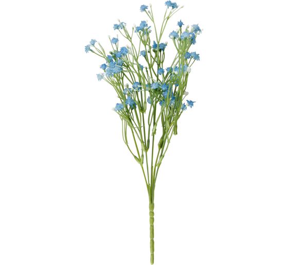 Acker-Witwenblume "Evergreen"