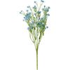 Acker-Witwenblume "Evergreen" Blau