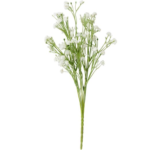 Acker-Witwenblume "Evergreen"