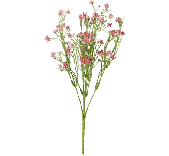 Acker-Witwenblume "Evergreen"