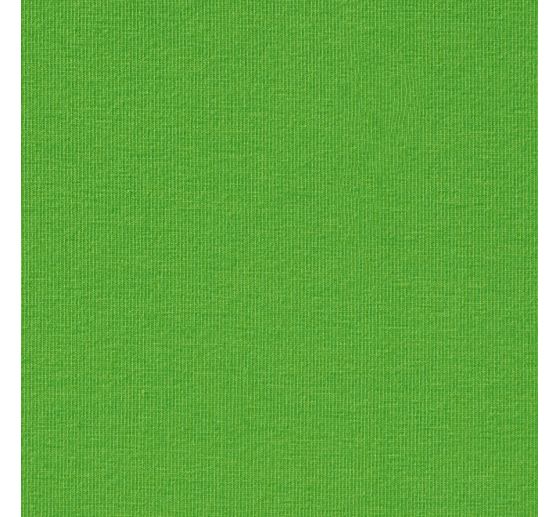Baumwoll Single-Jersey "Uni"