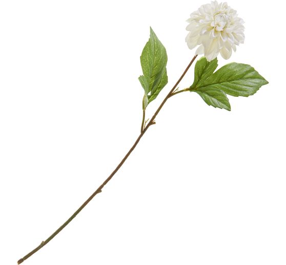 Dahlie "George Spray"