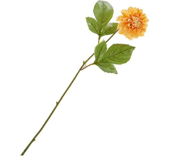 Dahlie "George Spray"