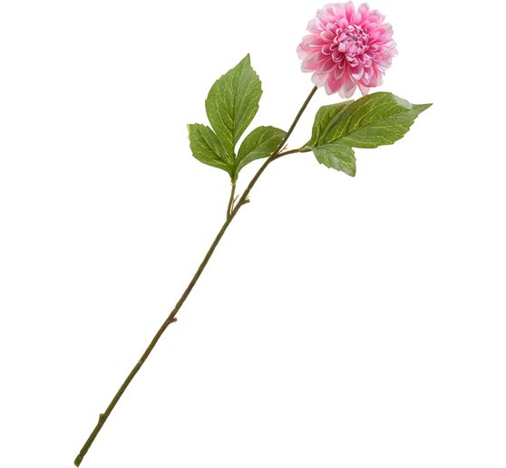 Dahlie "George Spray"