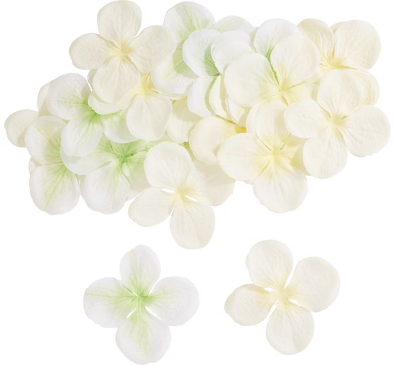 Hortensien-Bl&uuml;ten