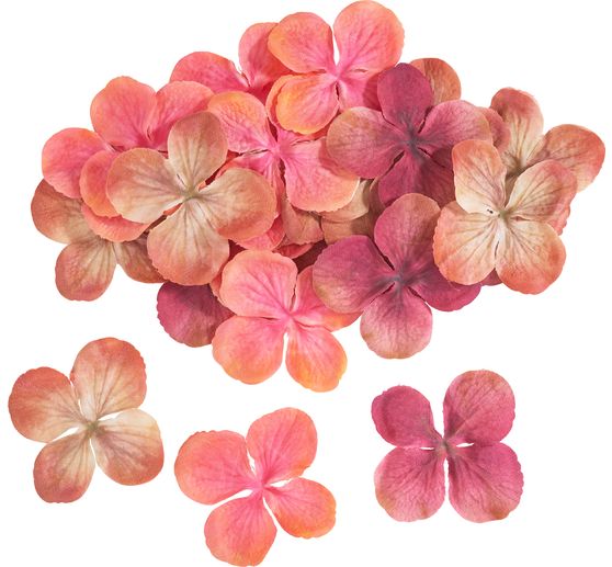 Hortensien-Bl&uuml;ten