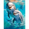 Diamond Painting Set, 30 x 40 cm Dolphins