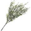 Eucalyptus bush Light green