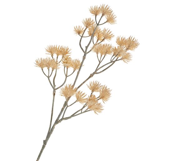 Flower cluster branch "Liliana"