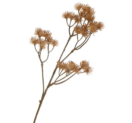 Flower cluster branch "Liliana"