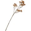 Flower cluster branch "Liliana" Brown