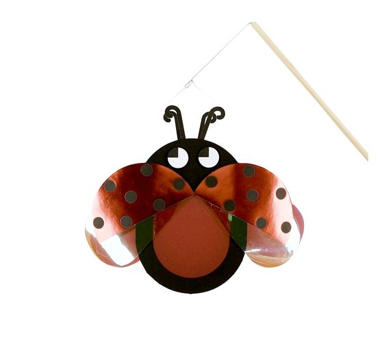 Lantern craft kit