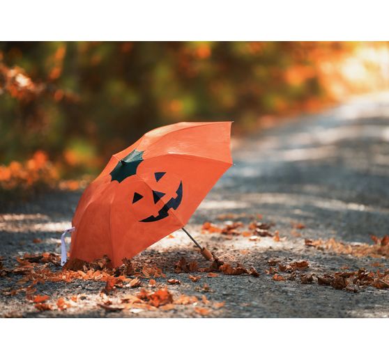 Pocket umbrella