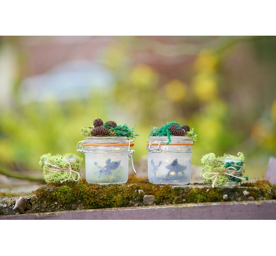 VBS Islandmoos, 100 g