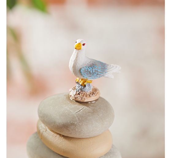 Möwe