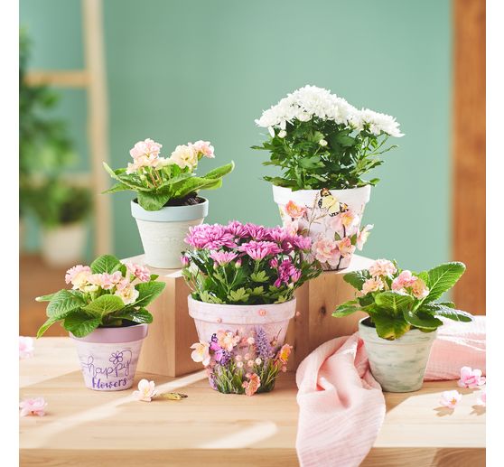 Terrakotta-T&ouml;pfe