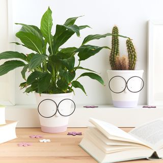 Terrakotta-Töpfe mit Brille