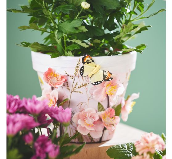 Terrakotta-T&ouml;pfe