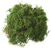 VBS Moss "Dark green"