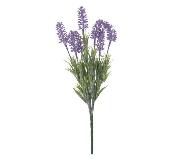 VBS Lavender pick "Lavendula"