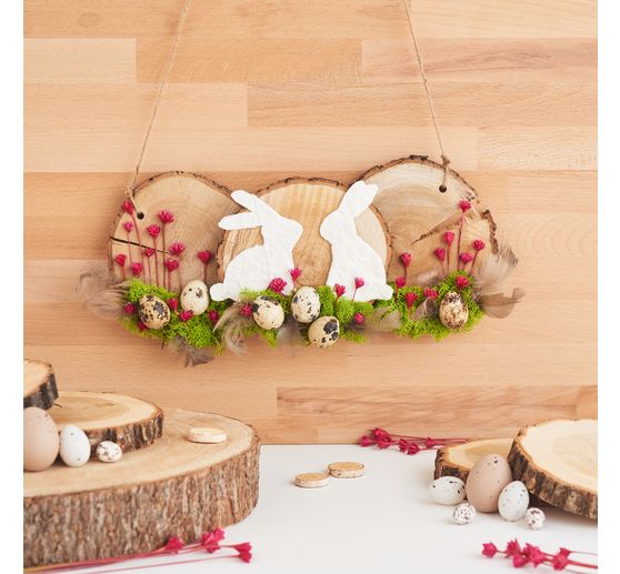 VBS Baumscheiben "Rund"