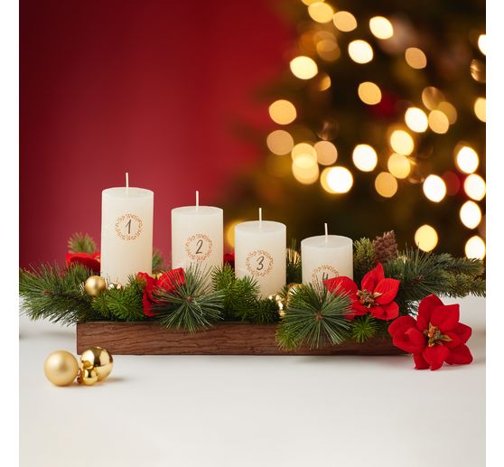 Weihnachtsstern Zweig "Wena" 