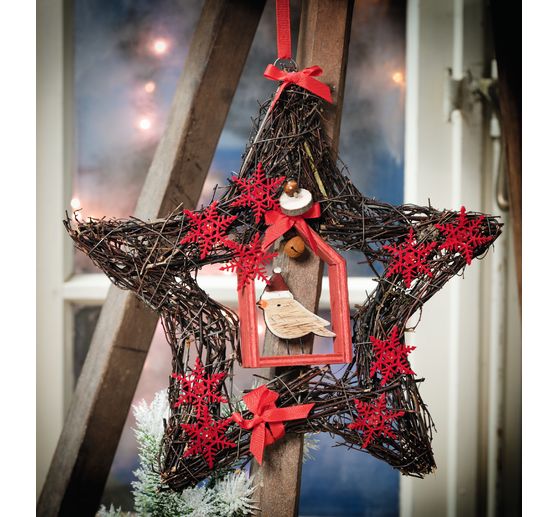 VBS Willow Star