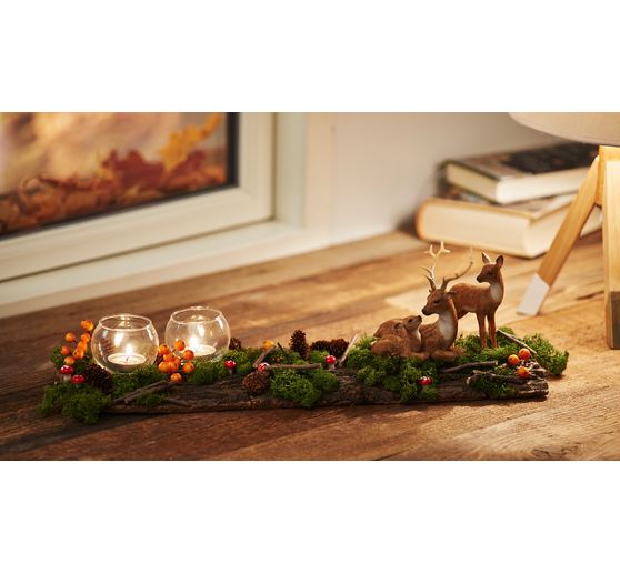 VBS Islandmoos, 100 g