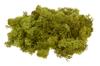 VBS Islandmoos, 100 g