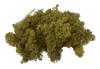 VBS Islandmoos, 100 g