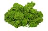 VBS Moss, 1 kg