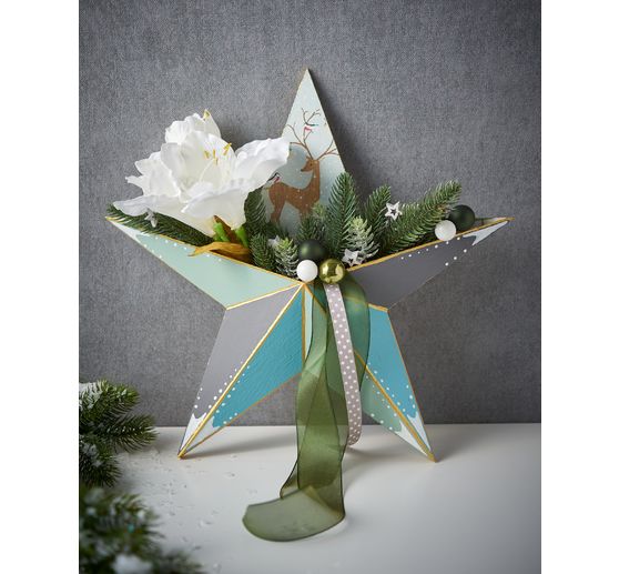 VBS Star with compartment