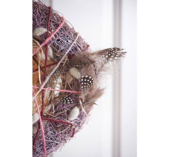 Chickens Feathers