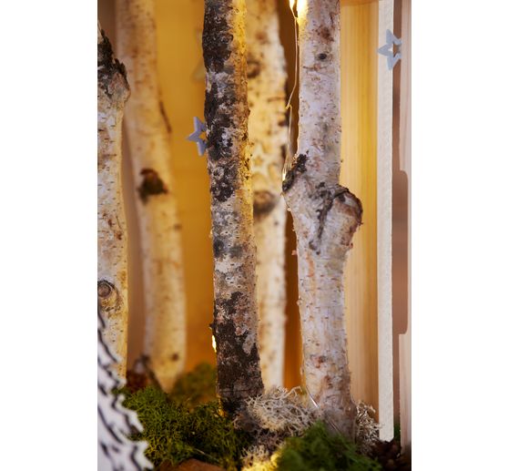 VBS Birch branches "Dalke", 10 pieces