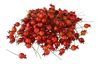 VBS Decorative rose hips on wire "Orange", 200 pieces