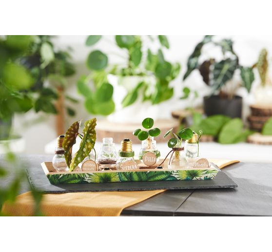 Serviette "Urban Jungle"