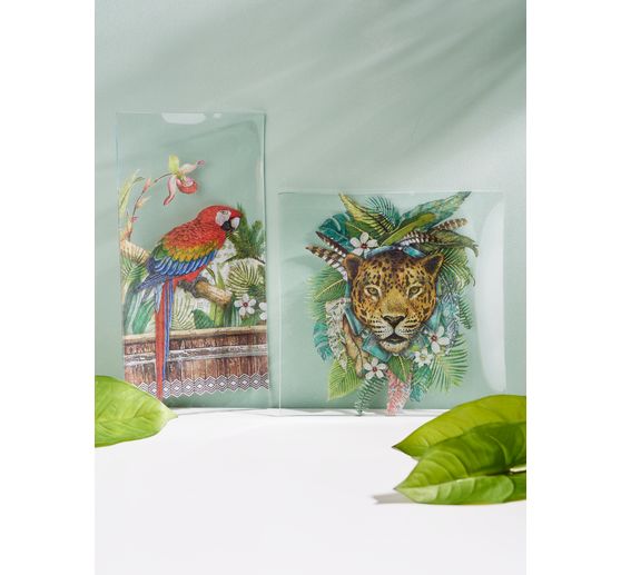 VBS Glass plate, square