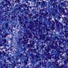 Glitter Flaky Glue Dark blue