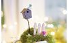 Miniature bird house "Lyss"