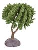 Miniatur Baum