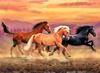 Painting by numbers "Freedom"