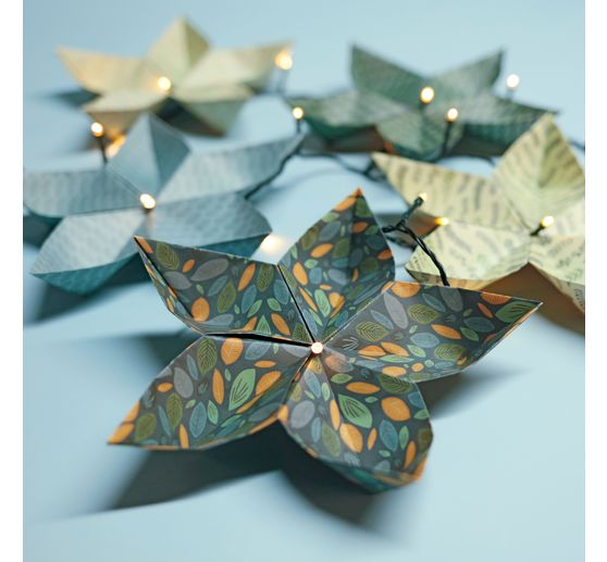 Leaflets "Jungle"